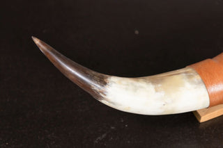 vintage-steer-horn-light