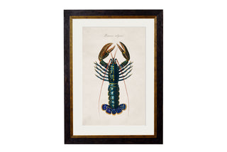 Vintage Style Marine Framed Art Range