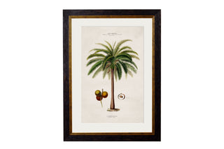 Vintage Style Botanical Framed Art Range