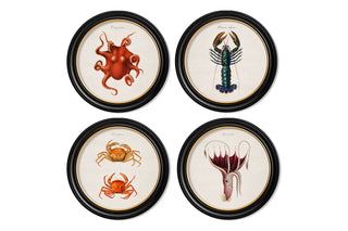 Vintage Style Marine Framed Art Range