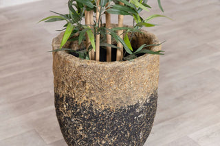 medium-decor-pot-with-plant