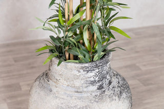 medium-decor-pot-with-plant