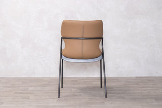 camel-back-view