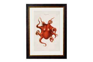 Vintage Style Marine Framed Art Range