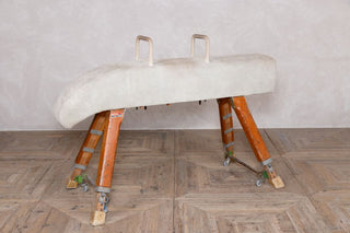 large-pommel-horse-style-d