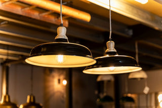 two-black-lynx-light