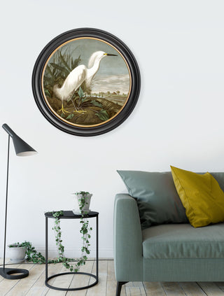 Vintage Style Birds of America Framed Art Range