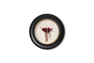 Vintage Style Marine Framed Art Range