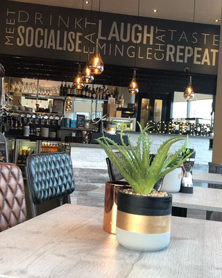 photo-credit-the-cove-gourock-scotland