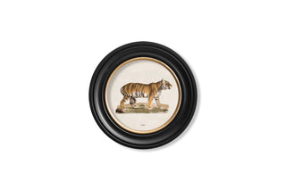 Vintage Style Safari Animals Framed Art Range