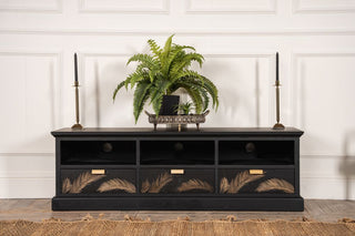 plants-on-tv-unit