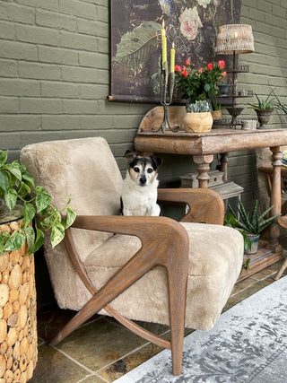 caramel-armchair-with-dog-photo-credit-@mo_morshuis