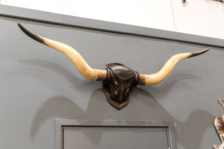 vintage mounted cow longhorns