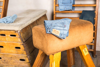 vintage pommel horse