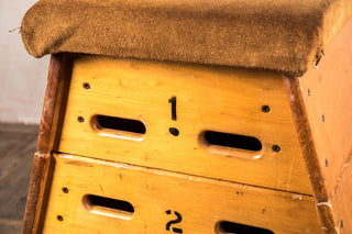 vintage retro vaulting horse