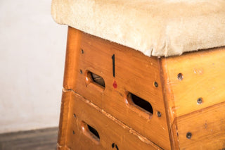 vintage vaulting horse