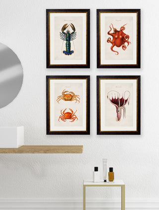 Vintage Style Marine Framed Art Range