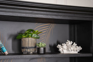 top-shelf-arizona-cabinet