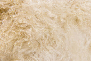 st-moritz-yeti-range