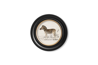 Vintage Style Safari Animals Framed Art Range