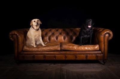Leather Chesterfield Sofa Range