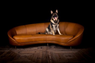 Roxy Real Leather Sofa