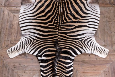 1960s zebra skin rug