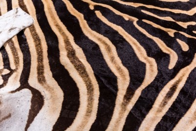 animal hide rug