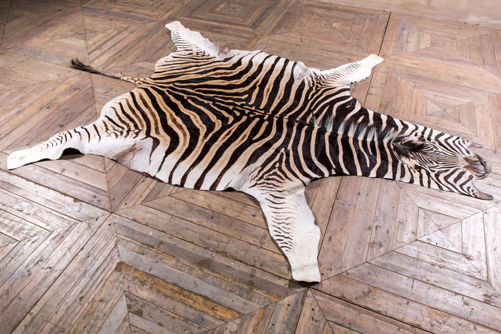 Vintage Zebra Hide Rug Skin, Zebra Skin Floor Lamp